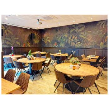 Gastro Stühle Tes Diamond – Vintage BRAUN